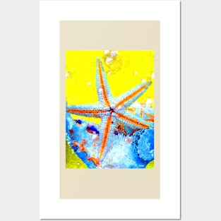 Seastar Posters and Art